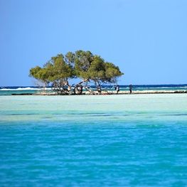 Azur Travel Destinations - Marsa Alam 